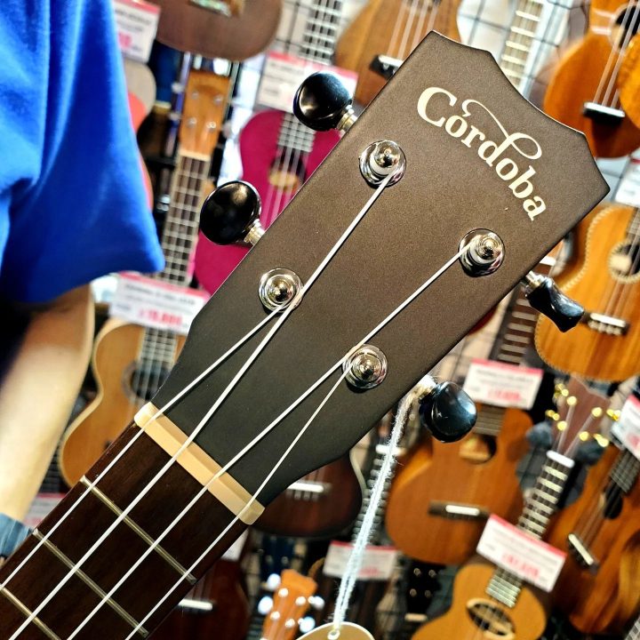 Cordoba ソプラノウクレレ BIA UKULELE入荷！！ - 大谷楽器 | 熊本の 