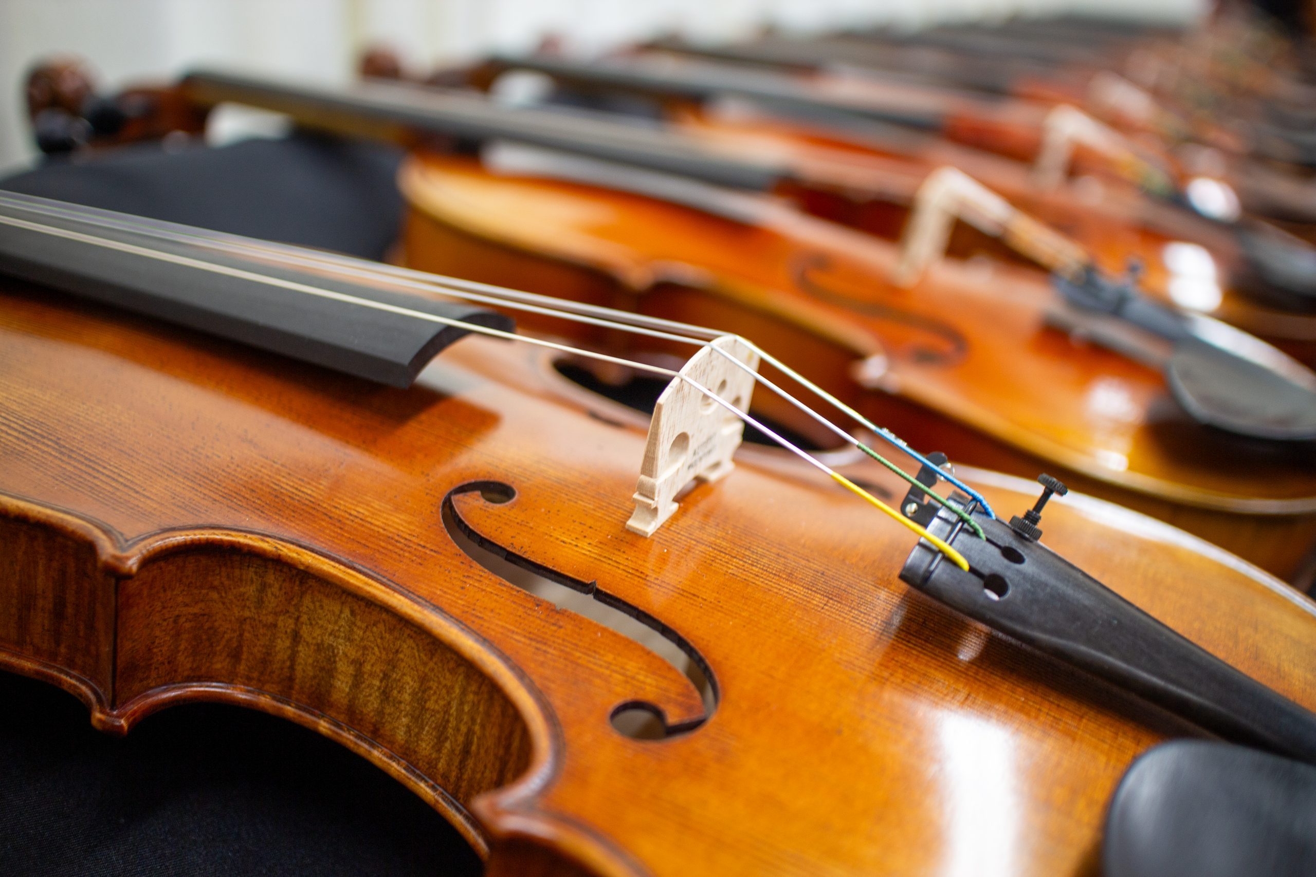 2025管弦楽器フェアWinter】弦楽器(バイオリン) 展示予定モデル - 大谷